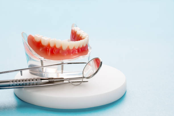 Best Preventive Dentistry  in Lake Junaluska, NC